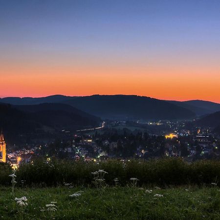 Drei Tannen - Wohnung 09 - Apartmenthaus, Titisee, Feldberg Εξωτερικό φωτογραφία