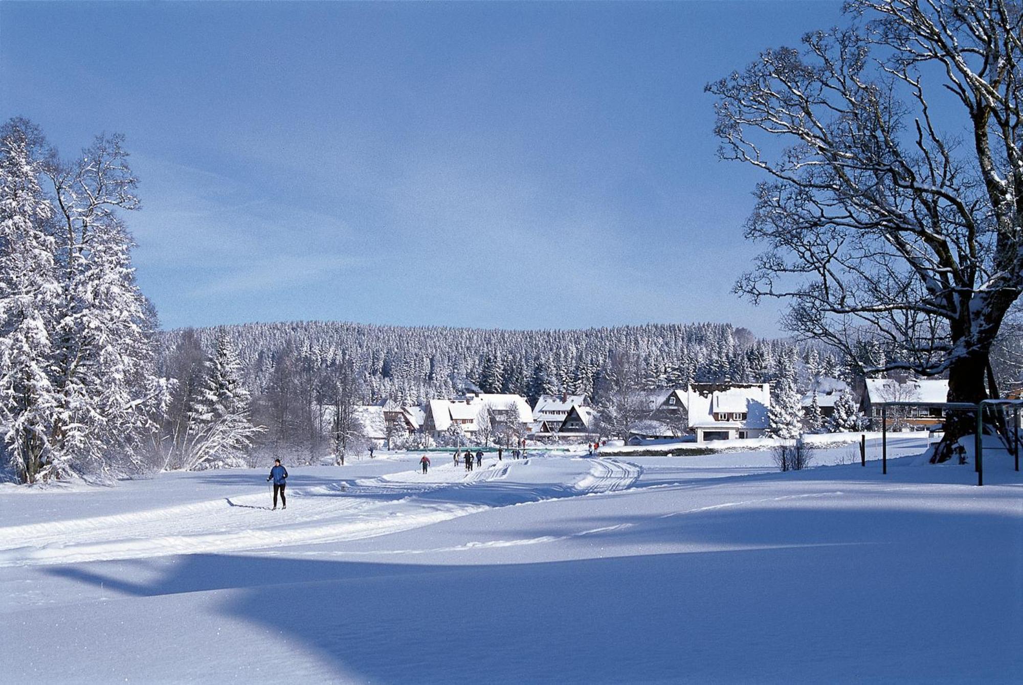 Drei Tannen - Wohnung 09 - Apartmenthaus, Titisee, Feldberg Εξωτερικό φωτογραφία