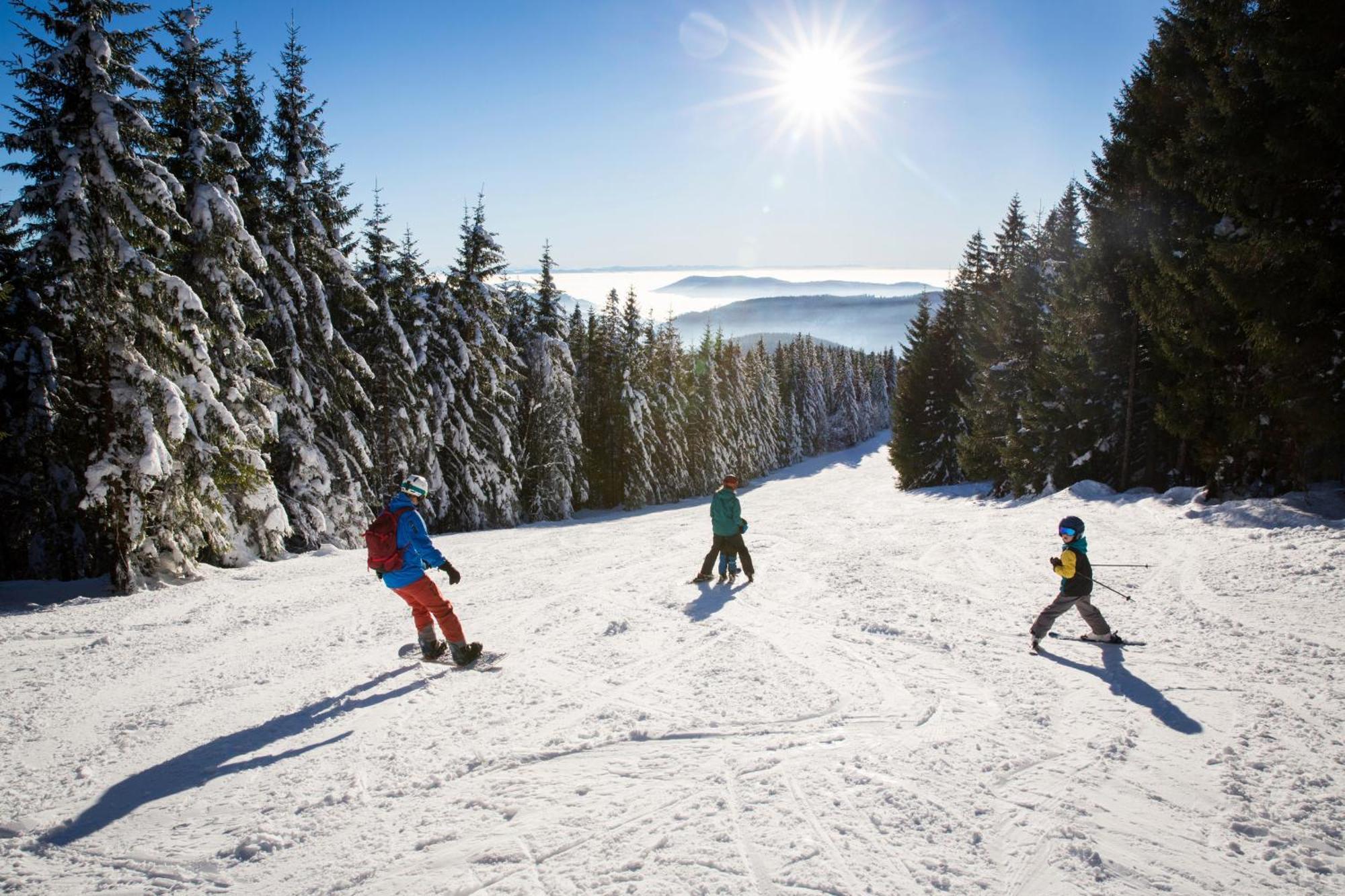 Drei Tannen - Wohnung 09 - Apartmenthaus, Titisee, Feldberg Εξωτερικό φωτογραφία