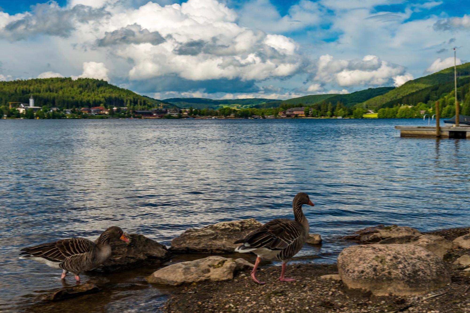Drei Tannen - Wohnung 09 - Apartmenthaus, Titisee, Feldberg Εξωτερικό φωτογραφία