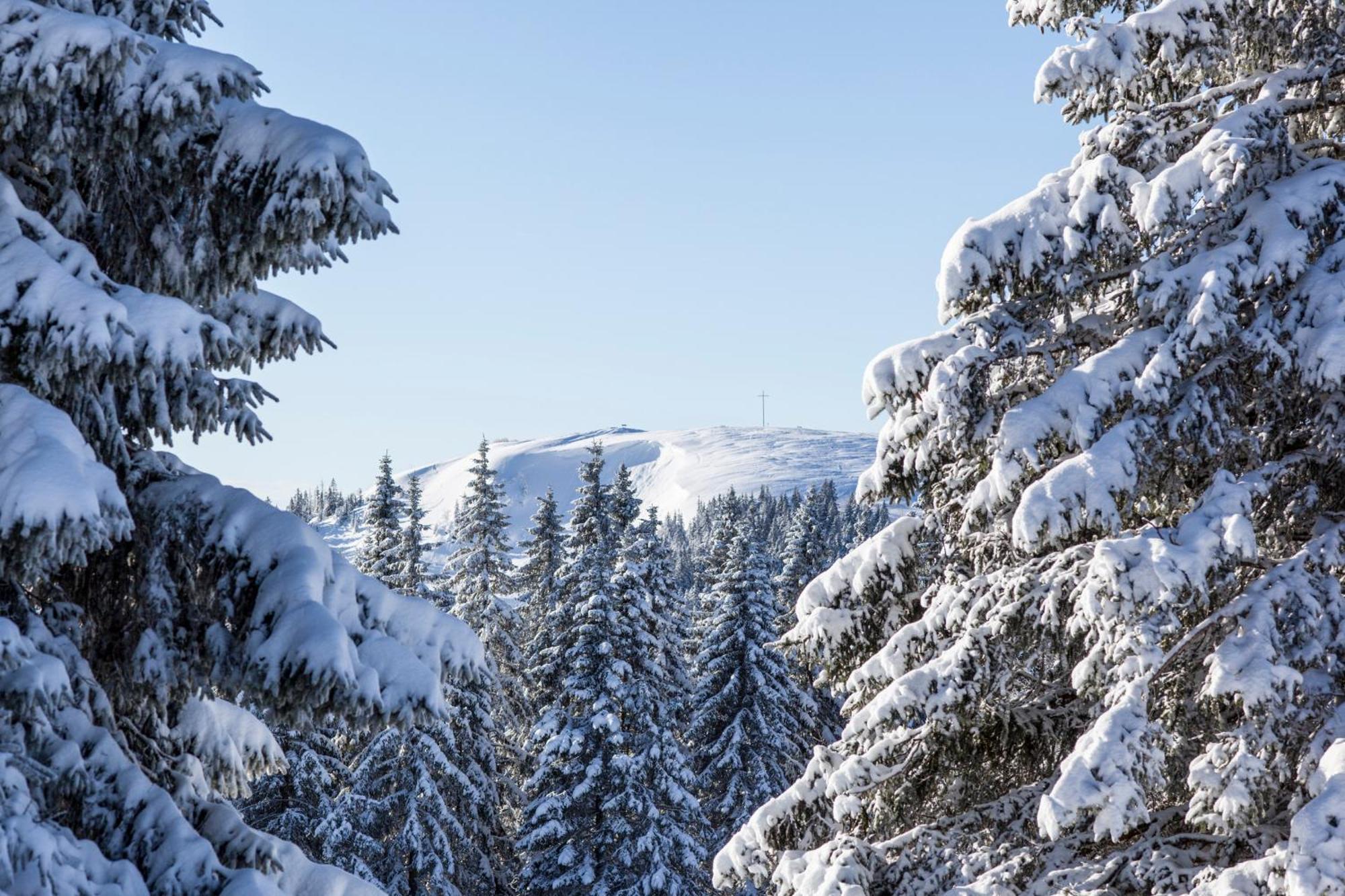 Drei Tannen - Wohnung 09 - Apartmenthaus, Titisee, Feldberg Εξωτερικό φωτογραφία